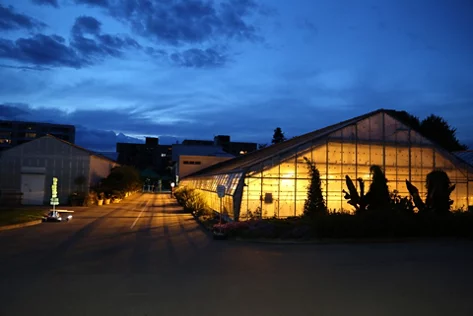 Die beleuchteten Gewächshäuser der Stadtgärtnerei bei Nacht.