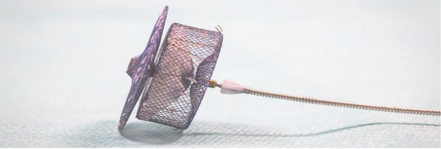 Nahaufnahme Schirm für Vorhofohr-Verschluss