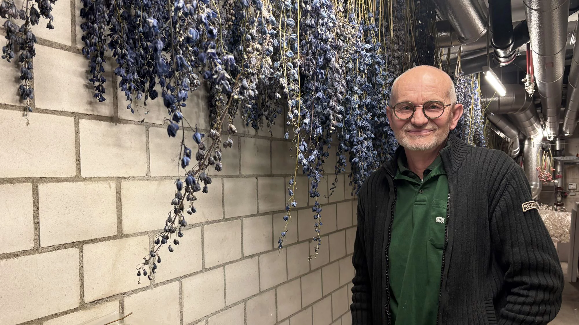 Mirko Diehm, Leiter Floristik bei Grün Stadt Zürich