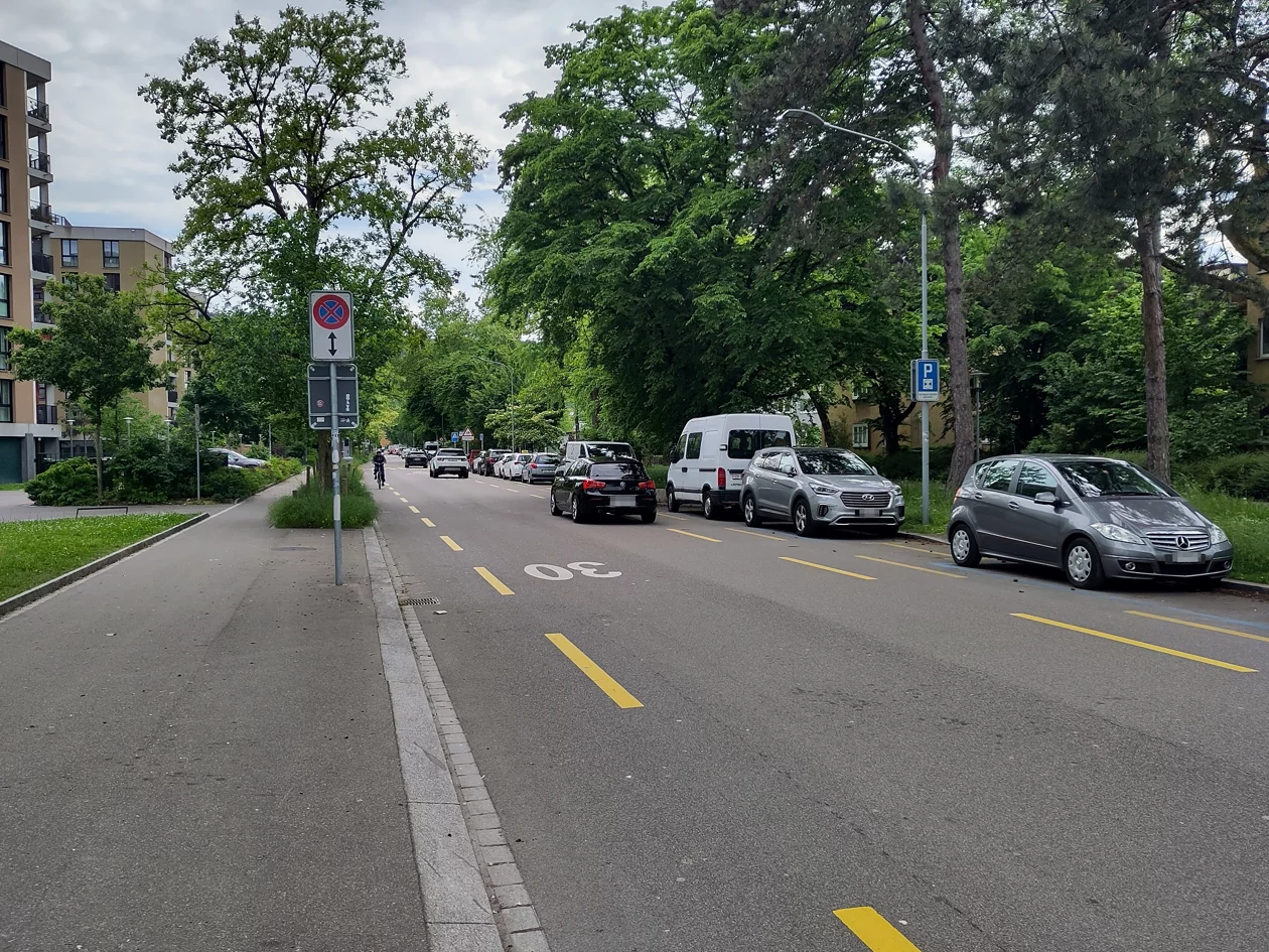 Ein Beispiel einer Strasse, an der keine Begegnungszone umgesetzt werden kann.