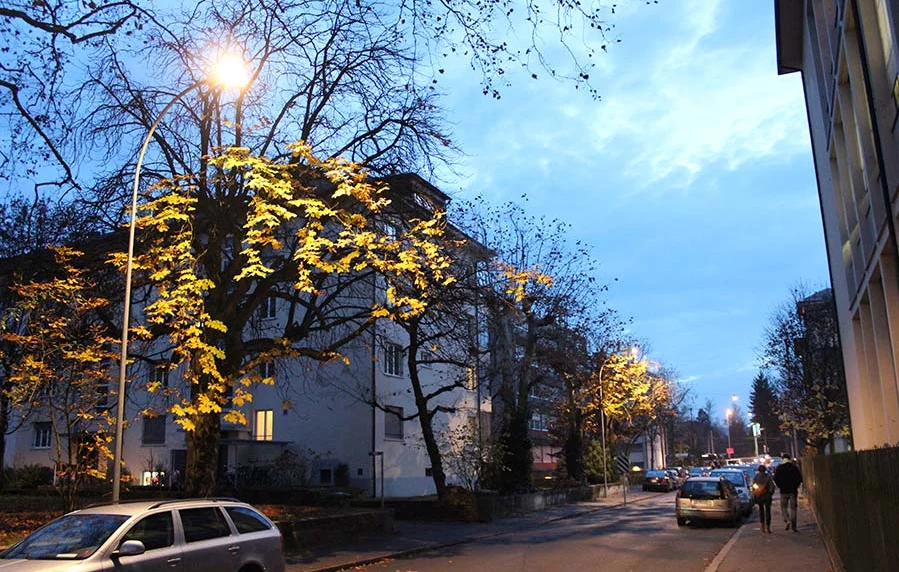 Licht Baum