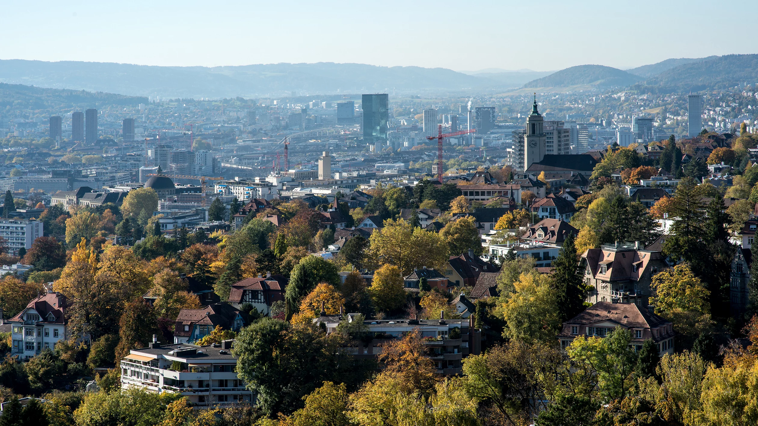 Durchgrünung mit Bäumen an der Hangflanke Zürichberg und in Zürich-West.