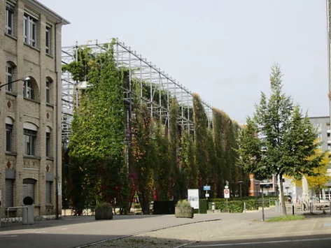 Gerüste bieten Halt für Kletterpflanzen beim MFO-Park in Oerlikon