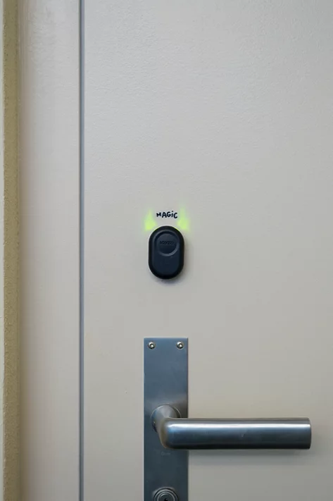 Nedko Solakov, Arbeitdoodles, 2019 (Foto: Pietro Mattioli)