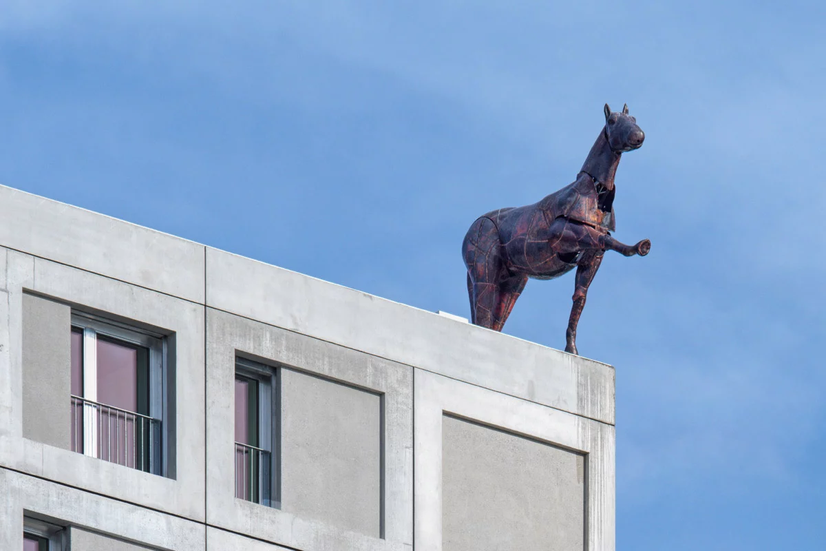 Pferd auf Hochhaus