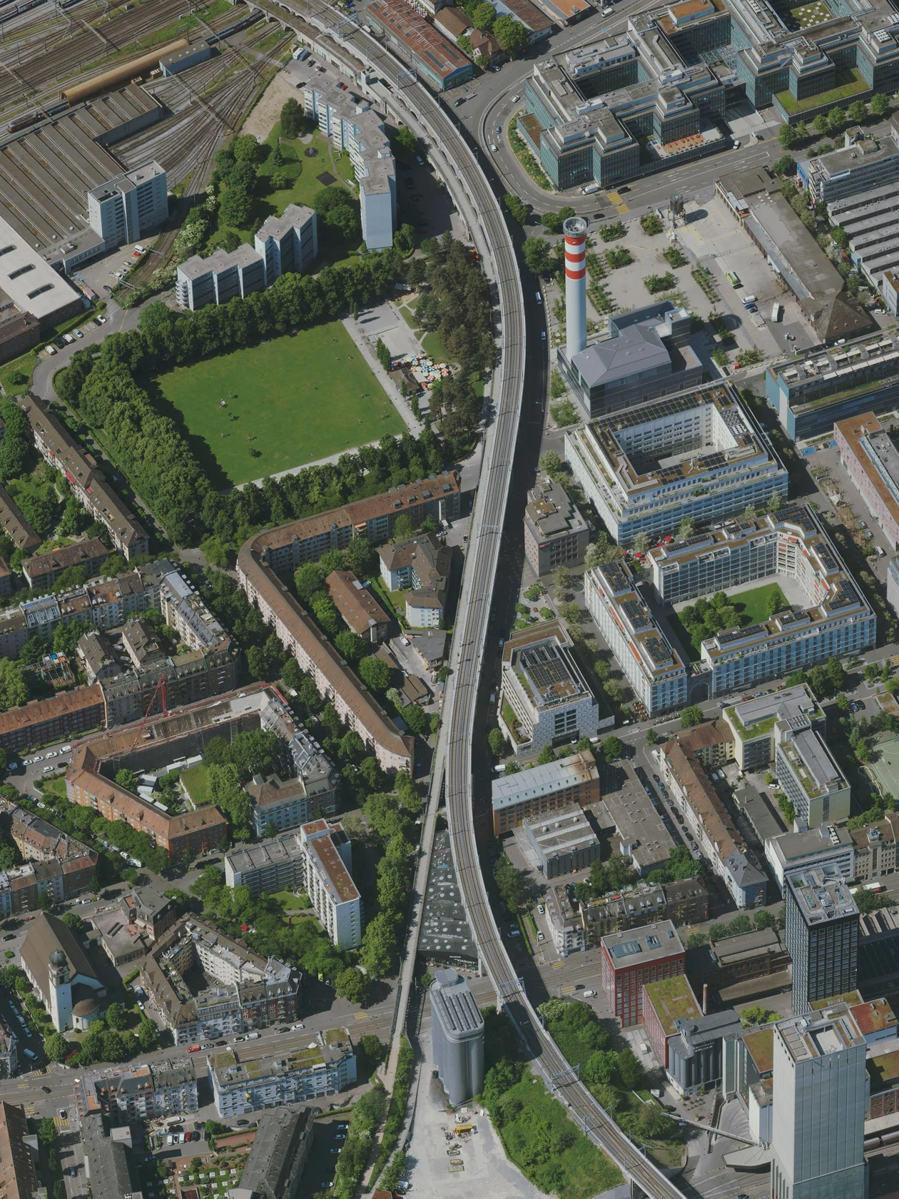 Bis 2050 soll die Baumkronenfläche im Strassenraum verdoppelt werden.