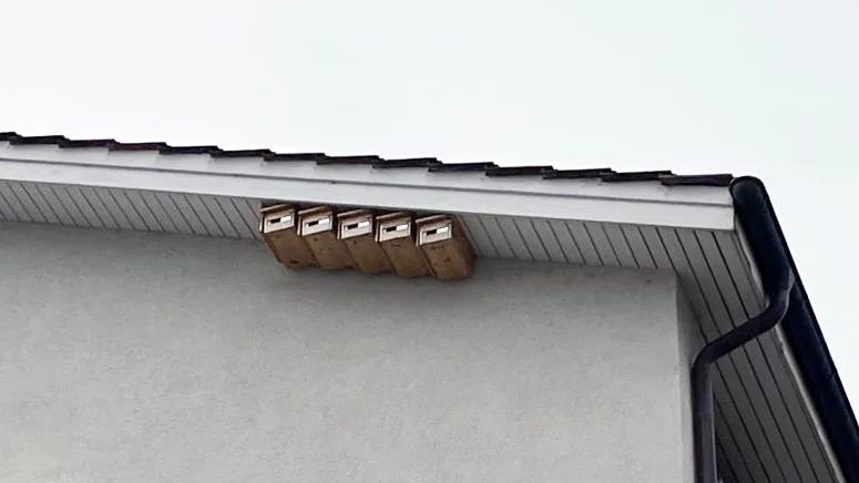 Nisthilfen an einem Gebäude