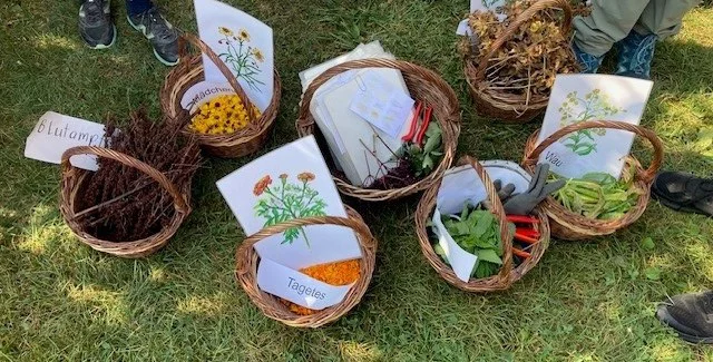 Geflochtene Körbe voller verschiedener Pflanzenteile stehen auf einer Wiese.