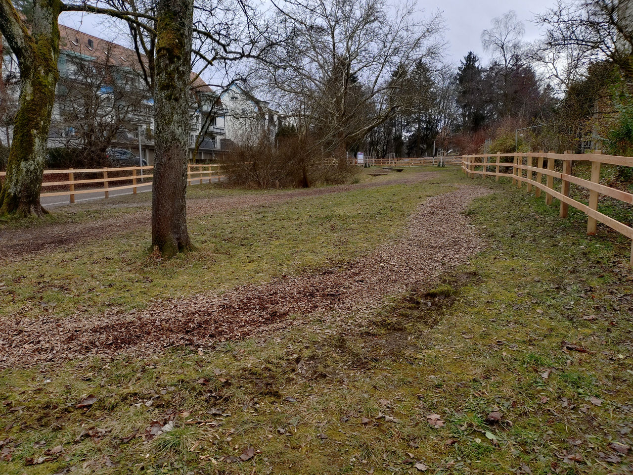 Mit Holzlatten eingezäunte Wiese mit Bäumen