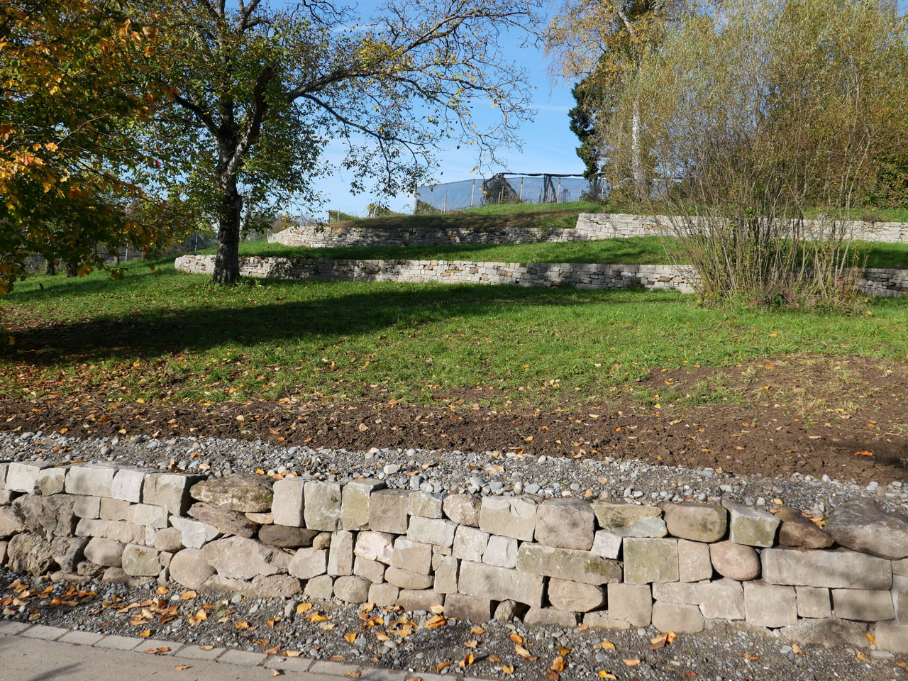 Trockenmauer Riedhofstrasse