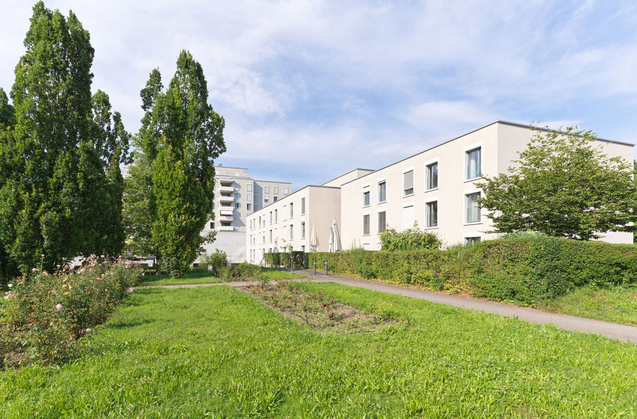 Galerie Bild 14 von 14