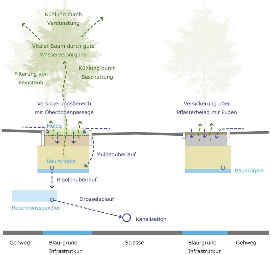Schwammstadt-Prinzip an der Scheuchzerstrasse in der Übersicht