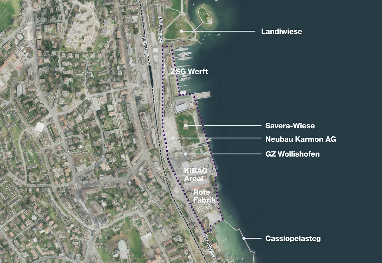 Luftbild vom Seeufer Wollishofen mit See und Land