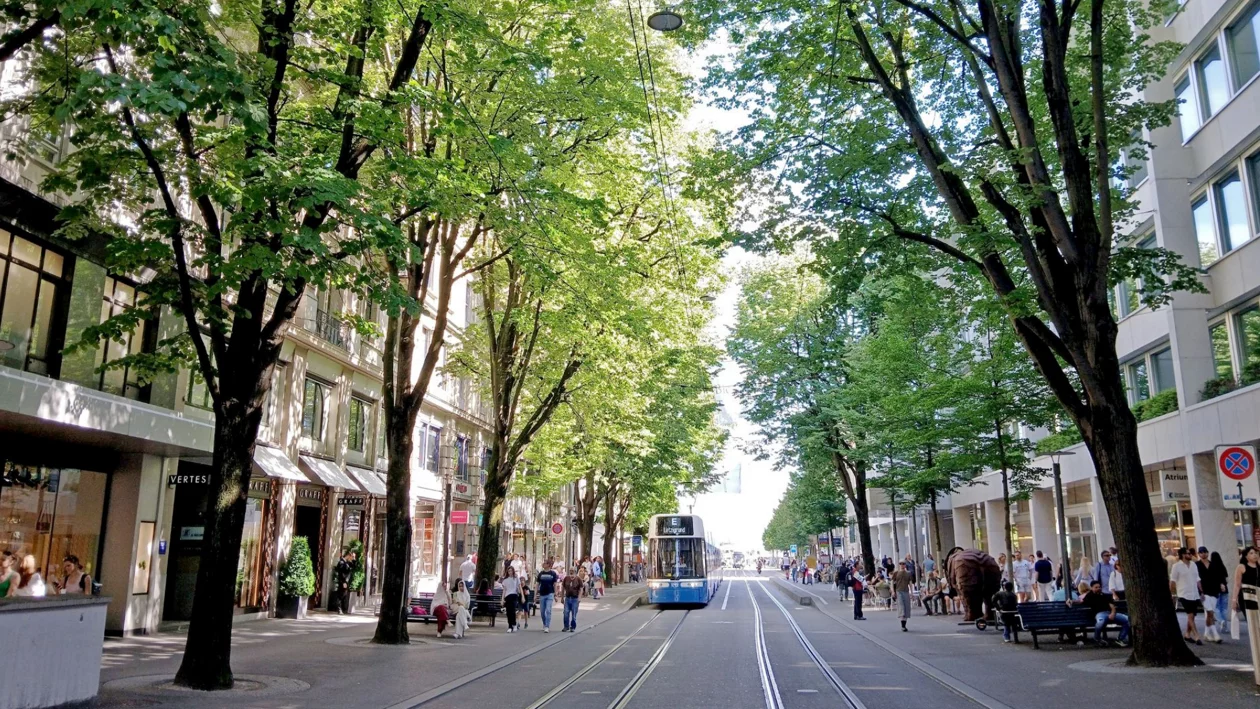 Web-Titelbilder - strassenbaumkonzept-bahnhofstrasse