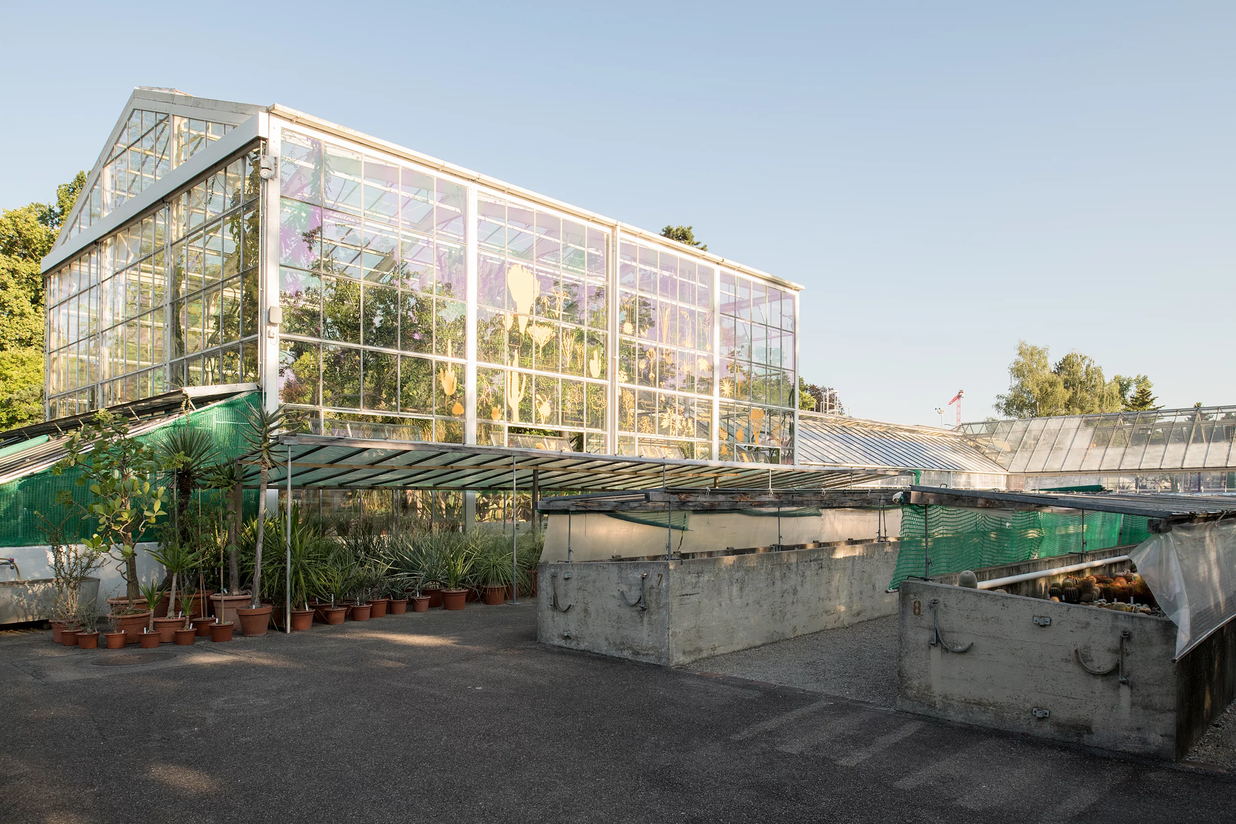 Blick auf das Grosspflanzenhaus der Sukkulenten-Sammlung.