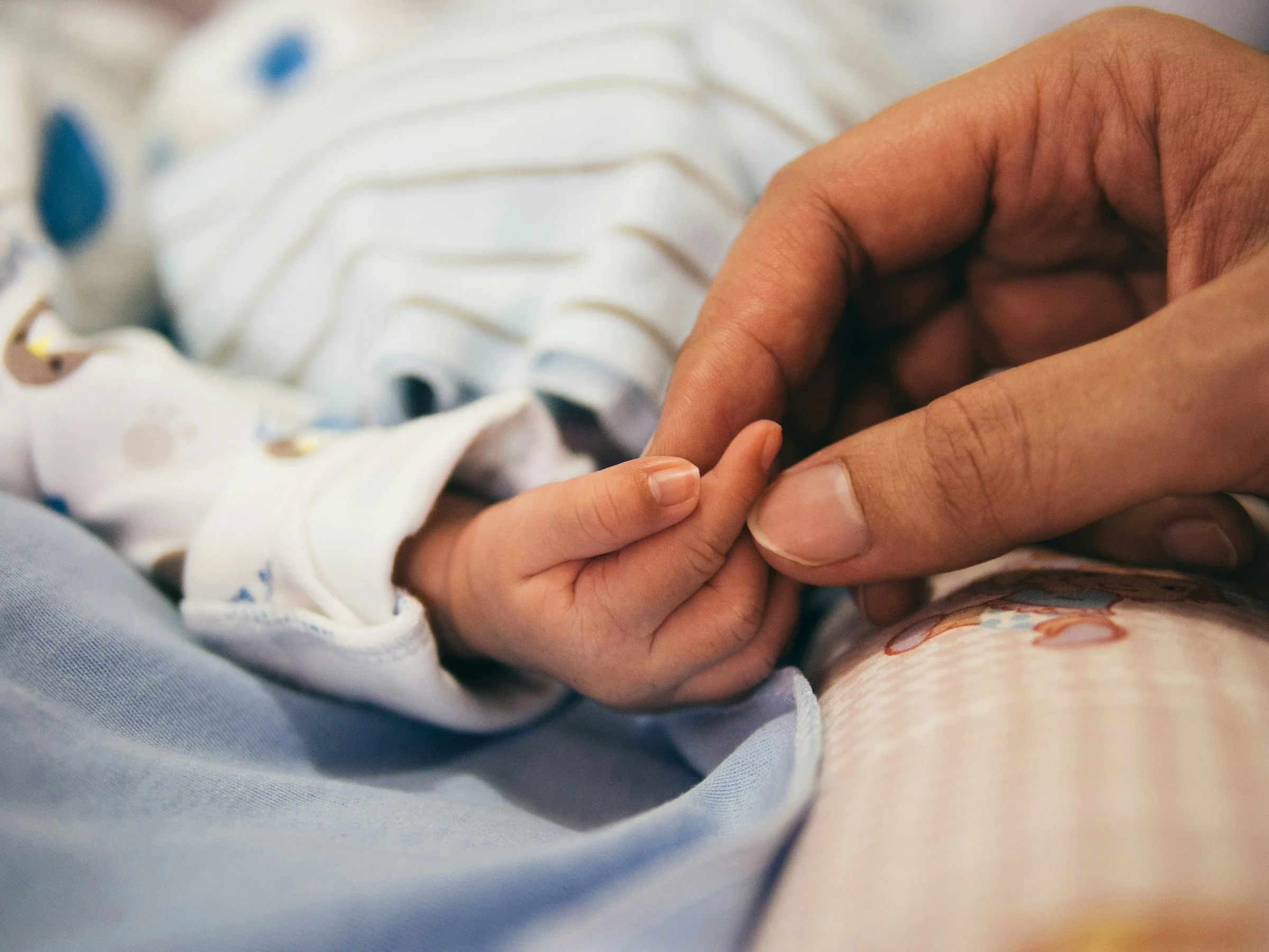 Erwachsene Person hält die Hand eines Babies