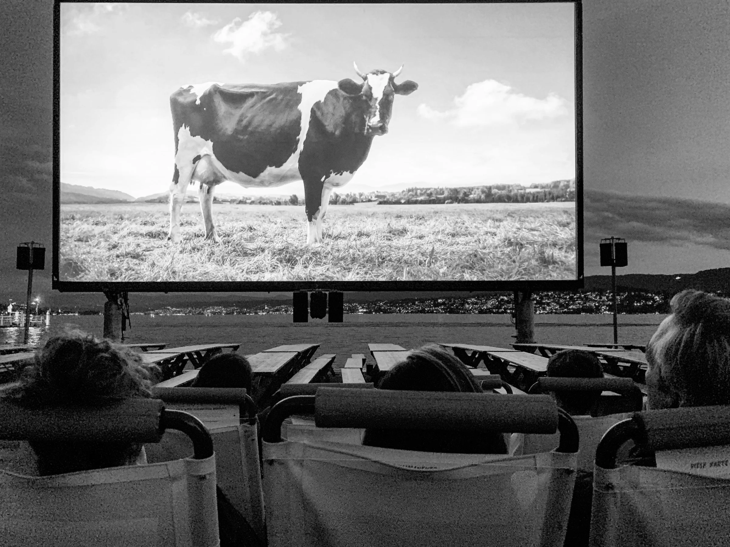 Sicht aus den Zuschauer*inenplätze am Openair Kino beim Zürihorn auf die Leinwand