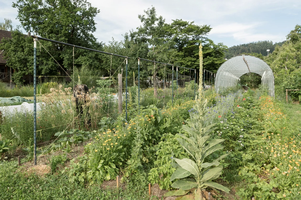 Ein grosser Garten