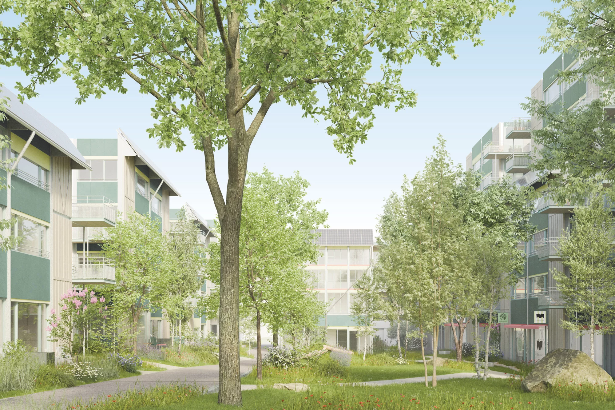 Die Visualisierung zeigt den begrünten Innenhof der Wohnsiedlung Thurgauerstrasse mit grossen Bäumen, Rasenflächen und Fusswegen, umgeben von mehrgeschossigen Wohngebäuden.