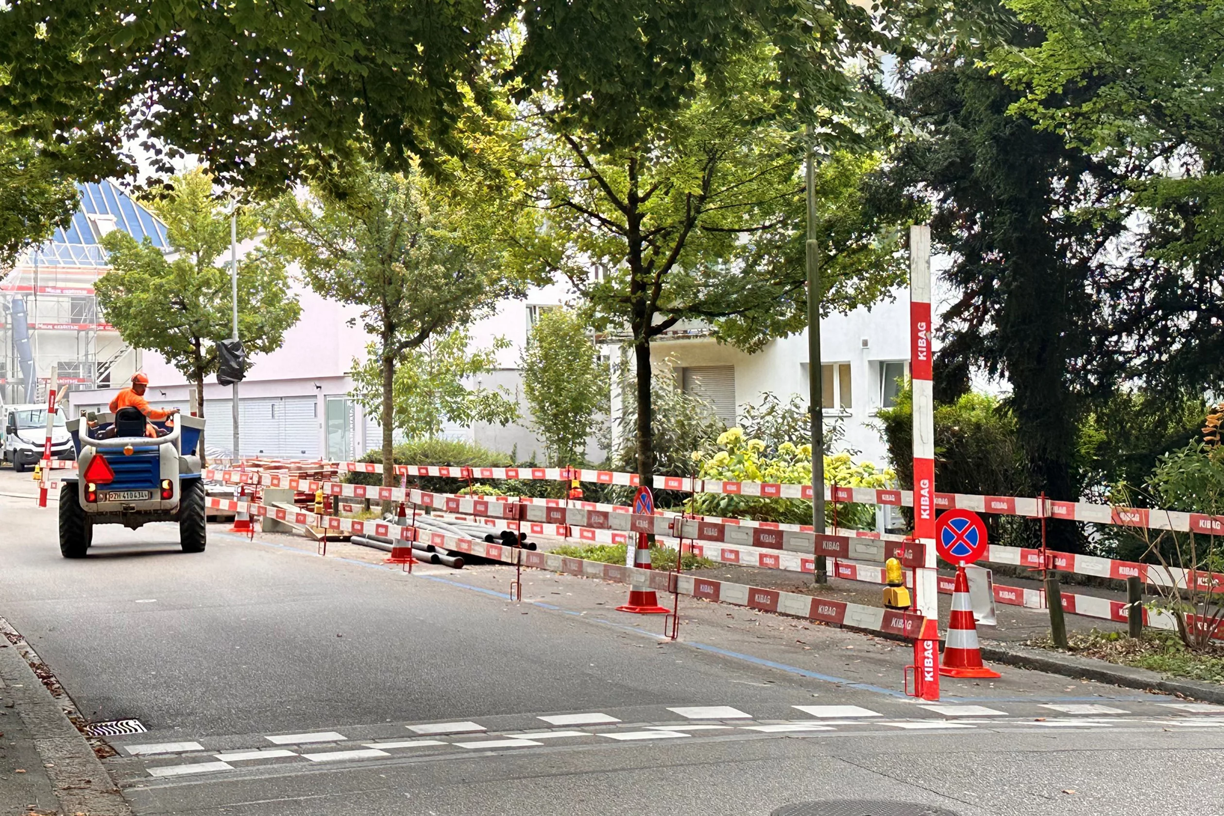 Die Scheuchzerstrasse