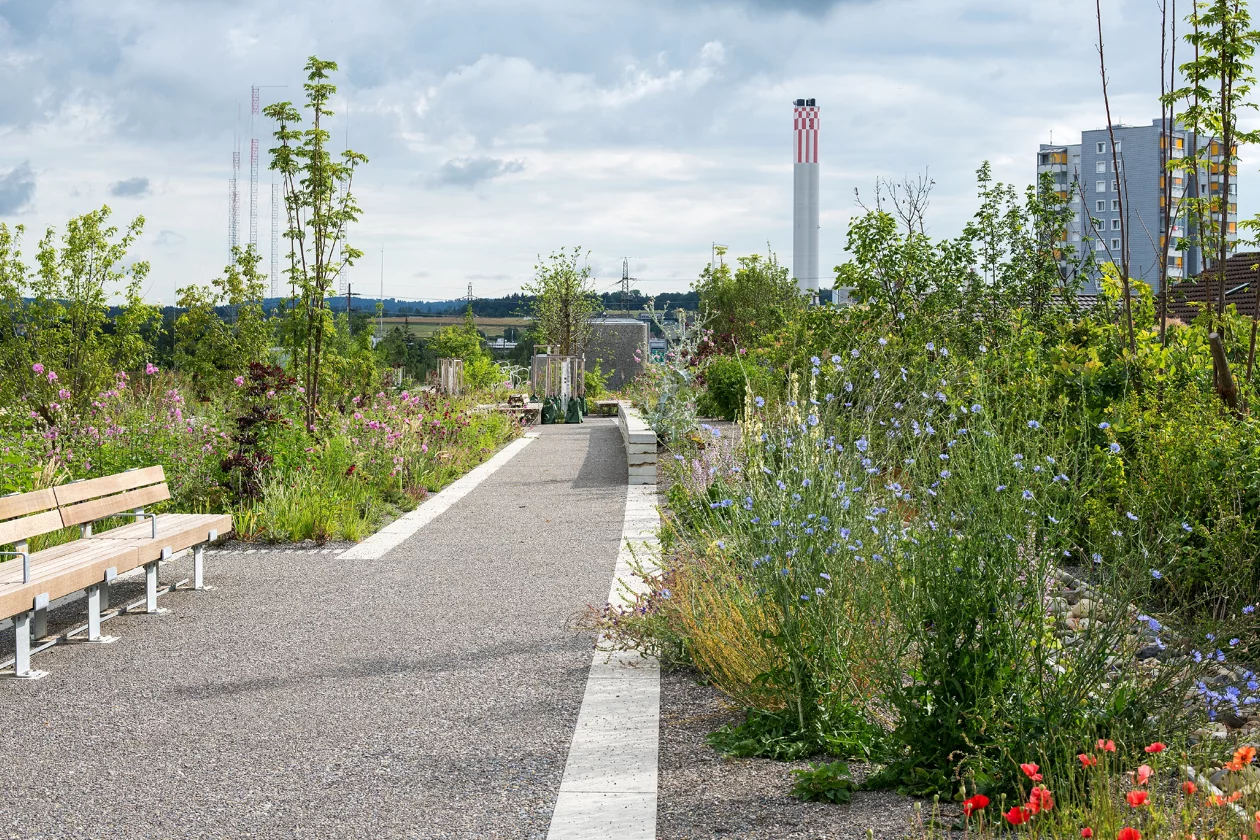 Biodiversität im Ueberlandpark