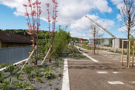 Überlandpark Führung