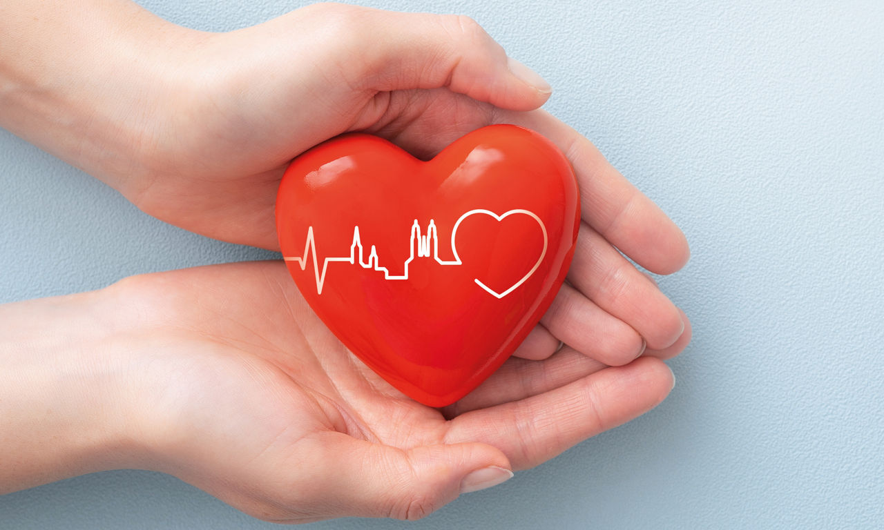 Herz aus Plastik in den Händen einer weiblich gedeuteten Person