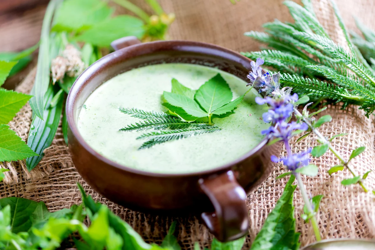 Selbstgemachte Suppe aus heimischen Wildkräutern (Wiesenkräutern)