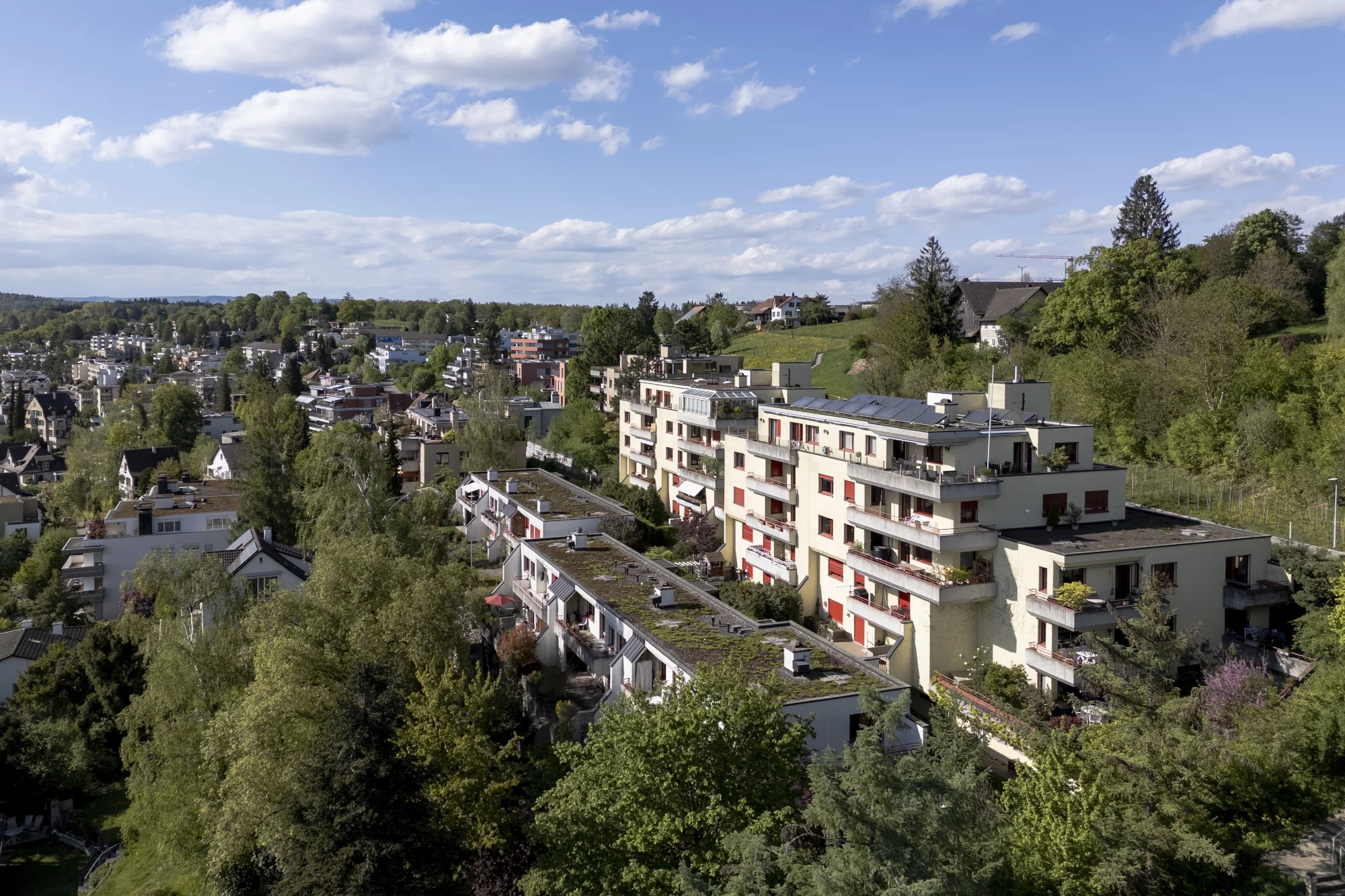 Die Wohnsiedlung steht am Übergang von Stadt und Land. Bild: Sophie Stieger