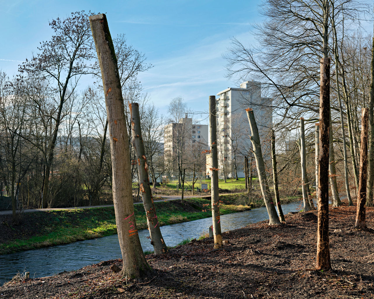 Das Bild zeigt zwei Hochhäuser, die neben der Glatt liegen. Bild: Baugeschichtliches Archiv, Nick Brändli