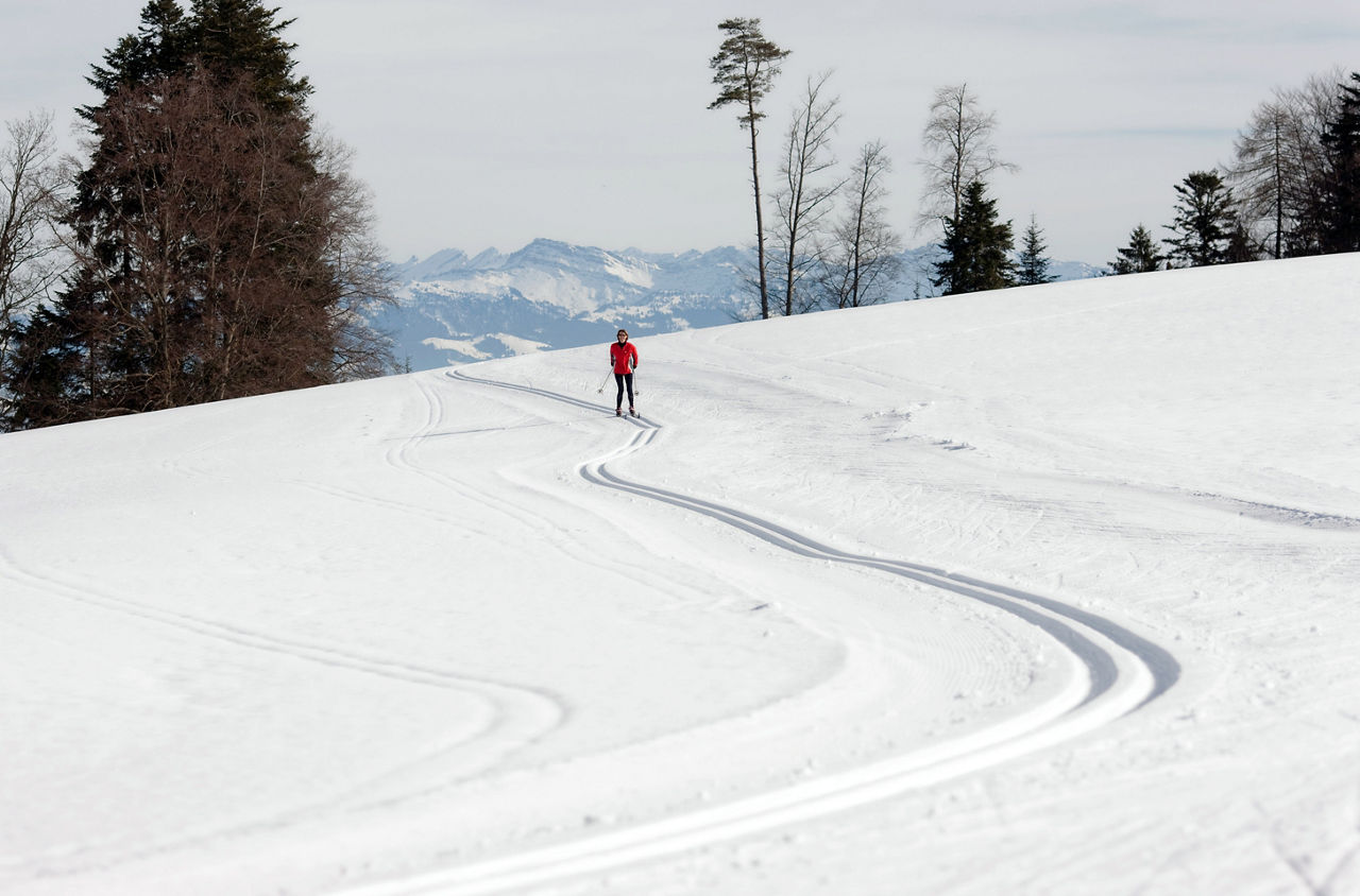 Frau auf einer Langlaufloipe im Zürcher Oberland