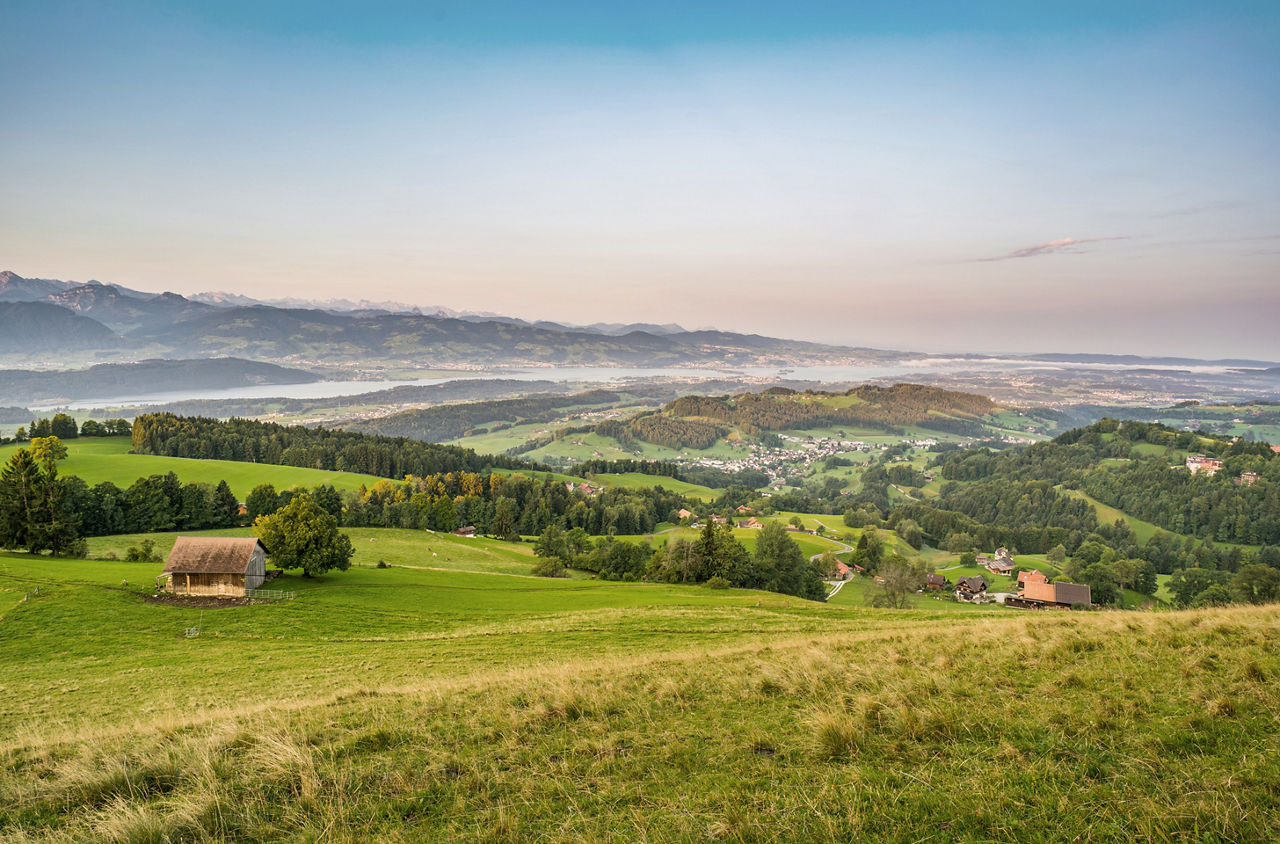 Aussicht vom Bannholz ins Unterland und auf den Zürichsee