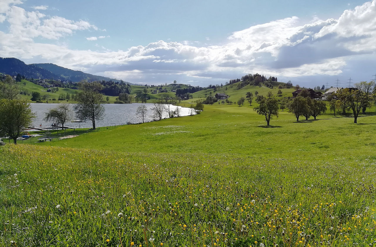 Das Hüttnerseeli auf der Wanderung von Richterswil durch die Sihlschlucht