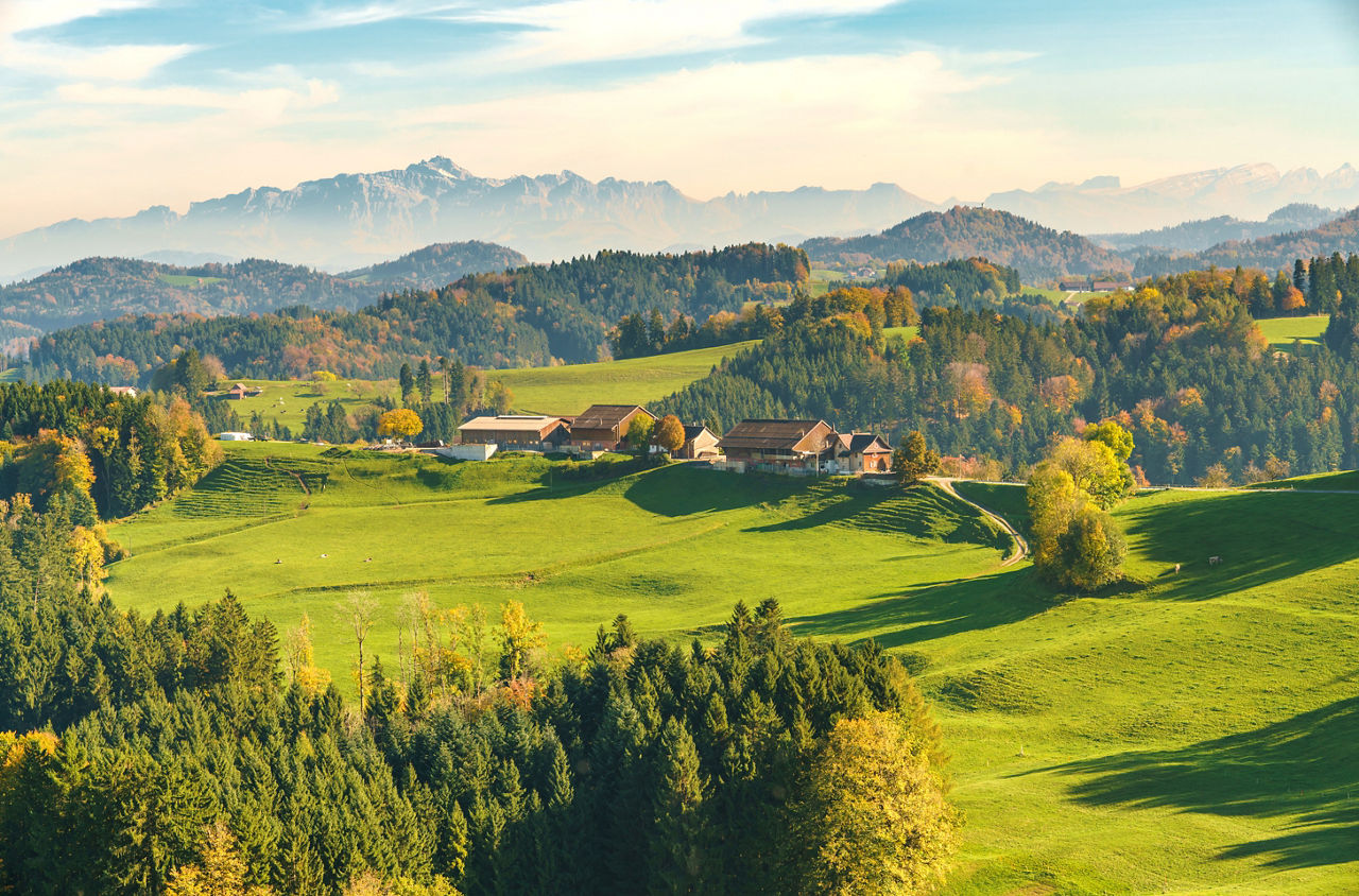 In Sternenberg steht ein Bauernhof und dahinter sieht man den Säntis.