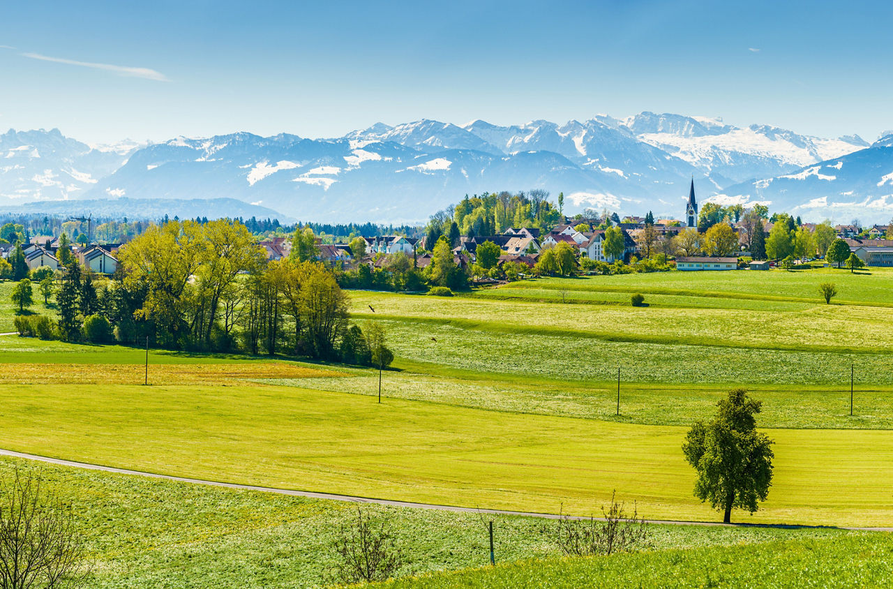 Blick auf eine grüne Wiese, dahinter sieht man Hombrechtikon und weiss verschneite Berge. 