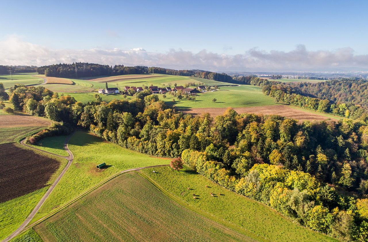 Landschaft auf der Wanderung von Fehraltorf nach Billikon