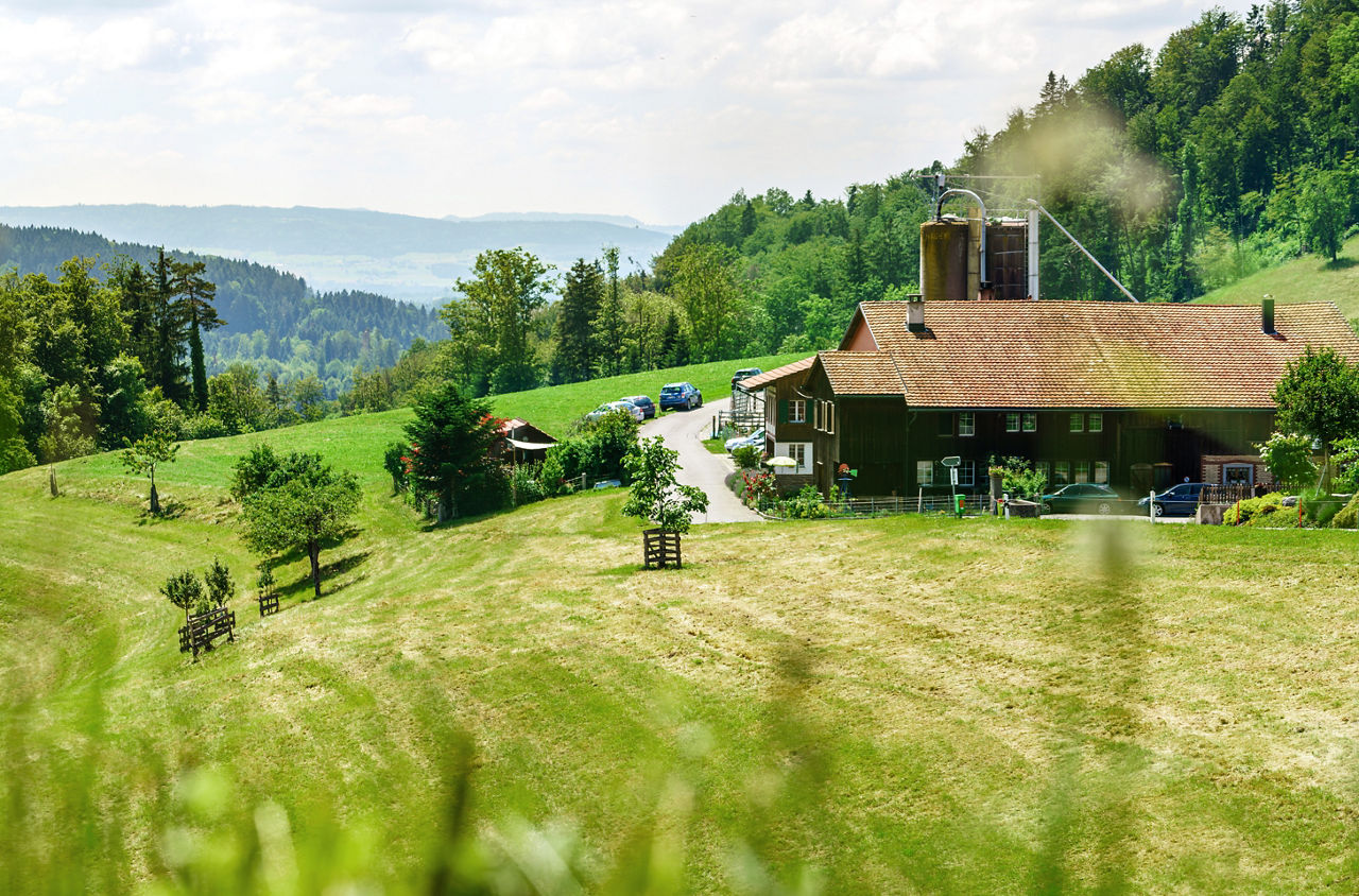 Das Restaurant Heubode in Wila liegt in grüner Landschaft. 