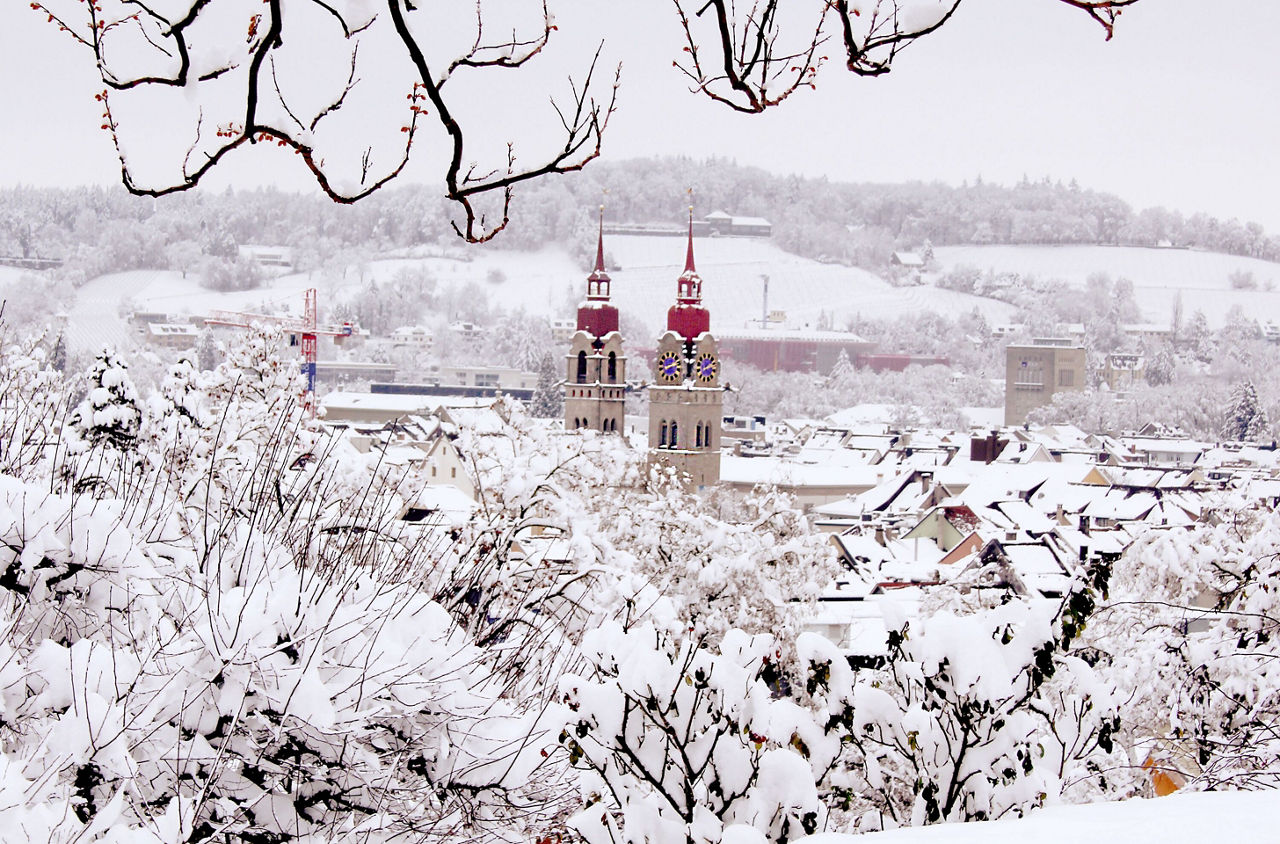 Blick auf Winterthur