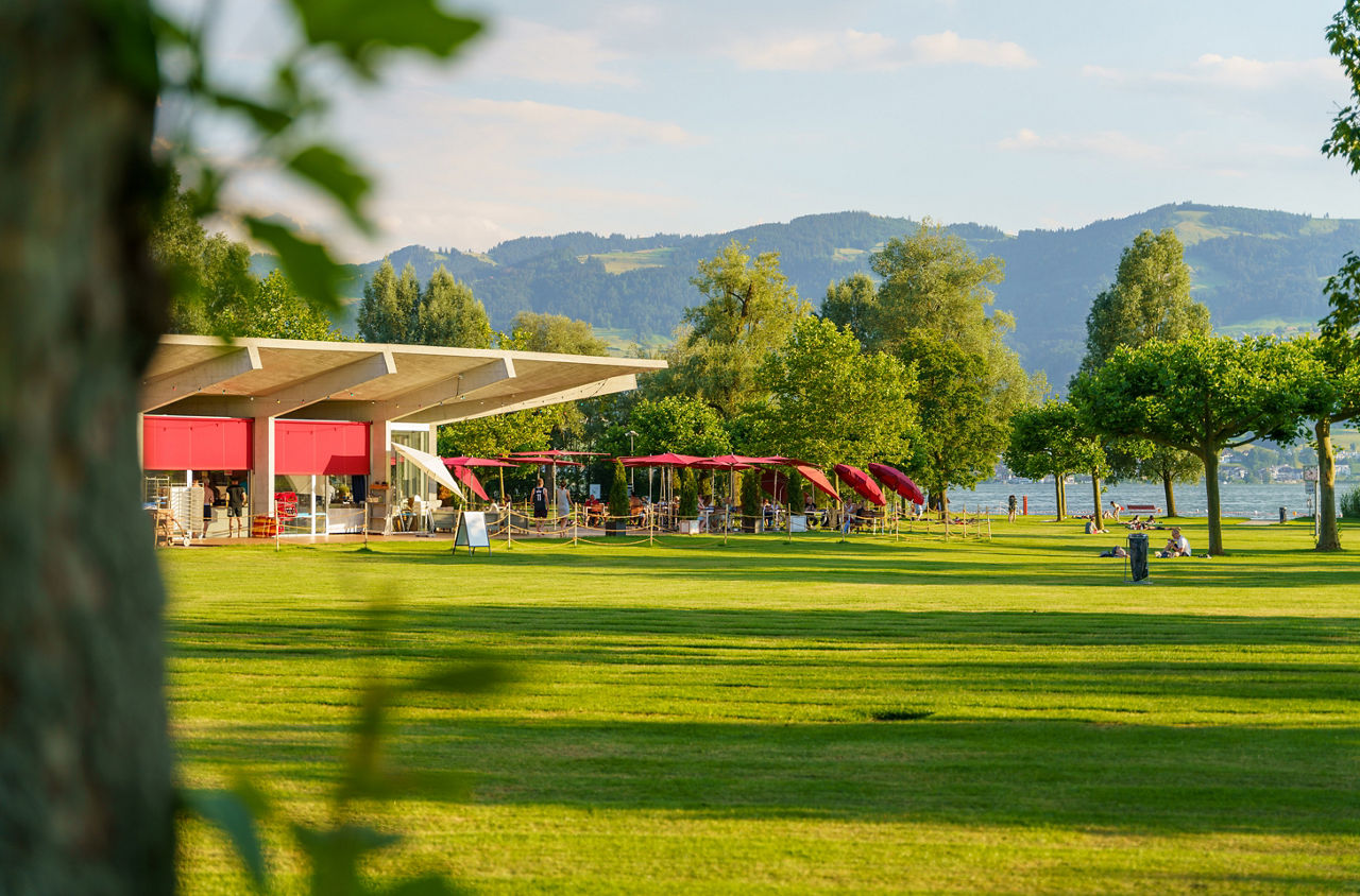 Grüne Wiese der Seebadi Stampf in Rapperswil am Zürichsee.