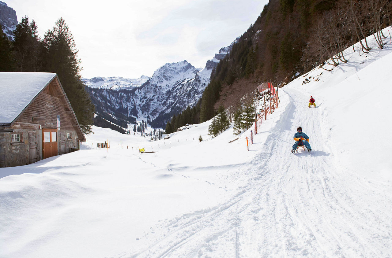 Zwei Personen schlitteln durch die weiss verschneite Landschaft. 