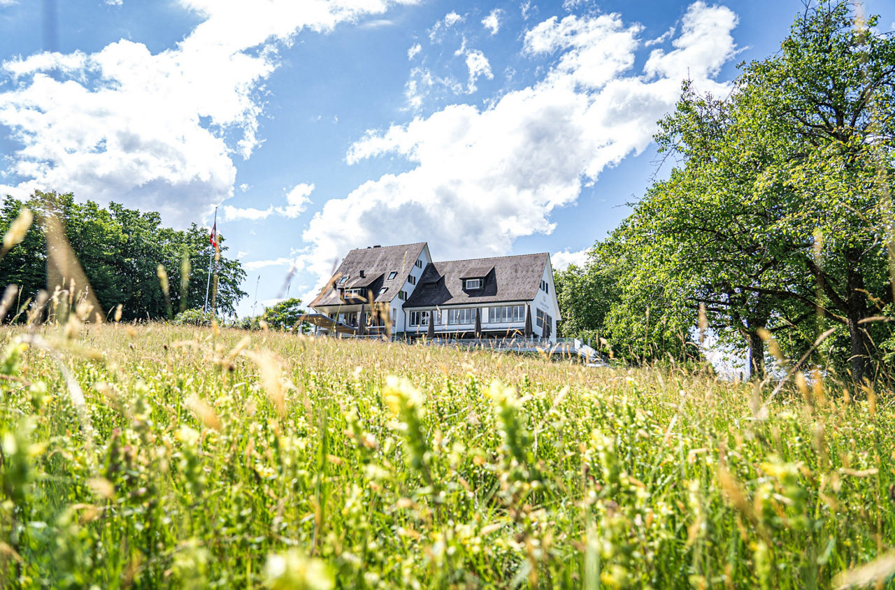 Der Landgasthof Halbinsel Au hinter einer schönen Blumenwiese.