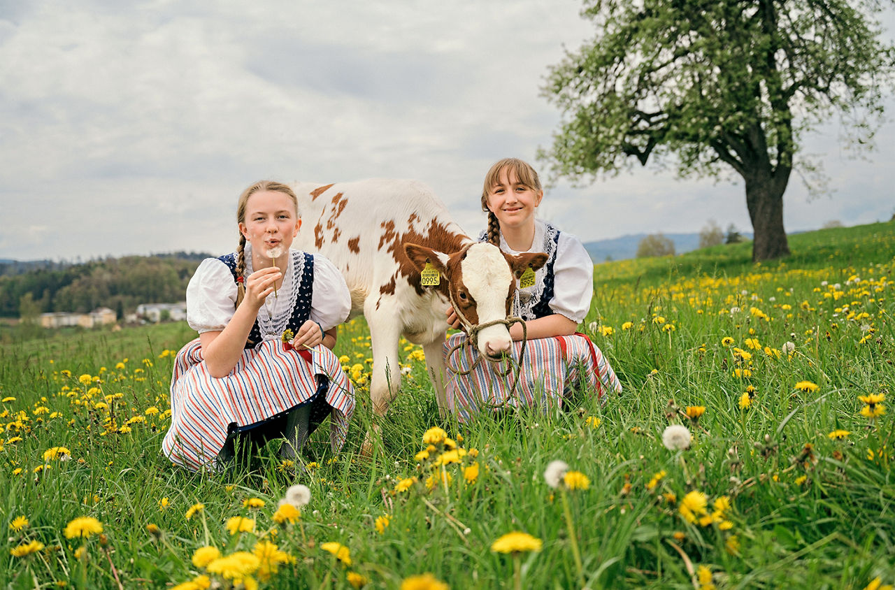 Zwei Mädchen im Feld mit Kuh. 