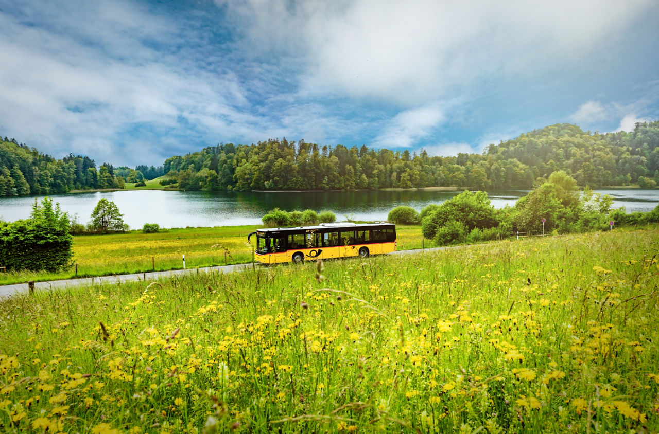 Bus der PostAuto AG auf einer Überlandstrasse mitten im Grünen.