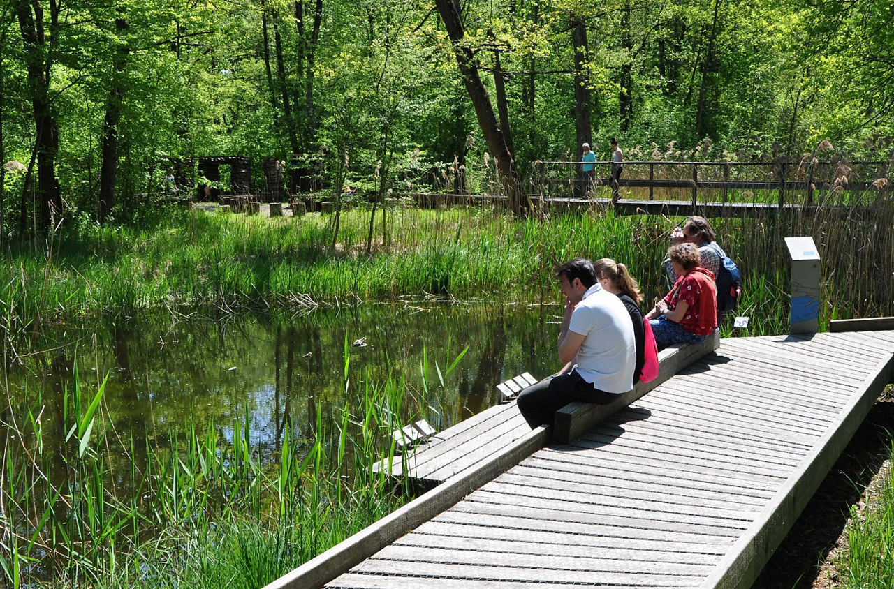 Menschen sitzen auf einem Steg im Naturpark Thurauen