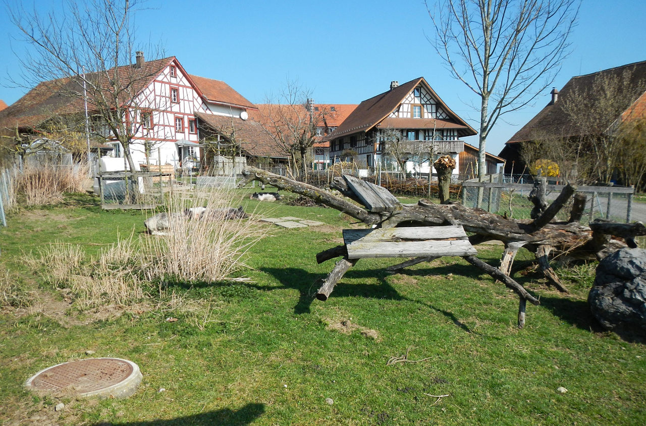 Gehege mit Schweinen auf der Wanderung von Bassersdorf nach Wülflingen