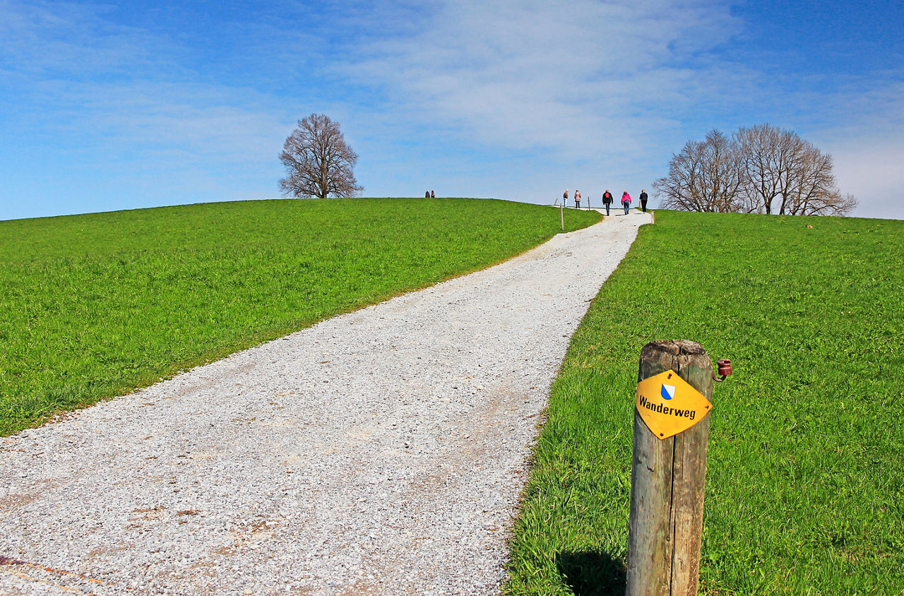 Wanderweg auf der Wanderung von der Sihl zum Zürichsee