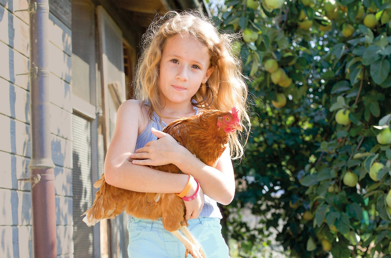 Mädchen hält Huhn in den Armen. 