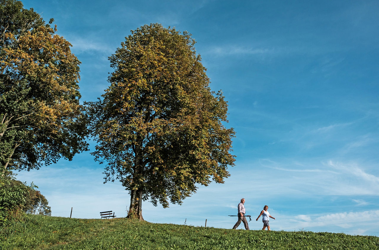 Frau und Mann auf einer Sommerwanderung