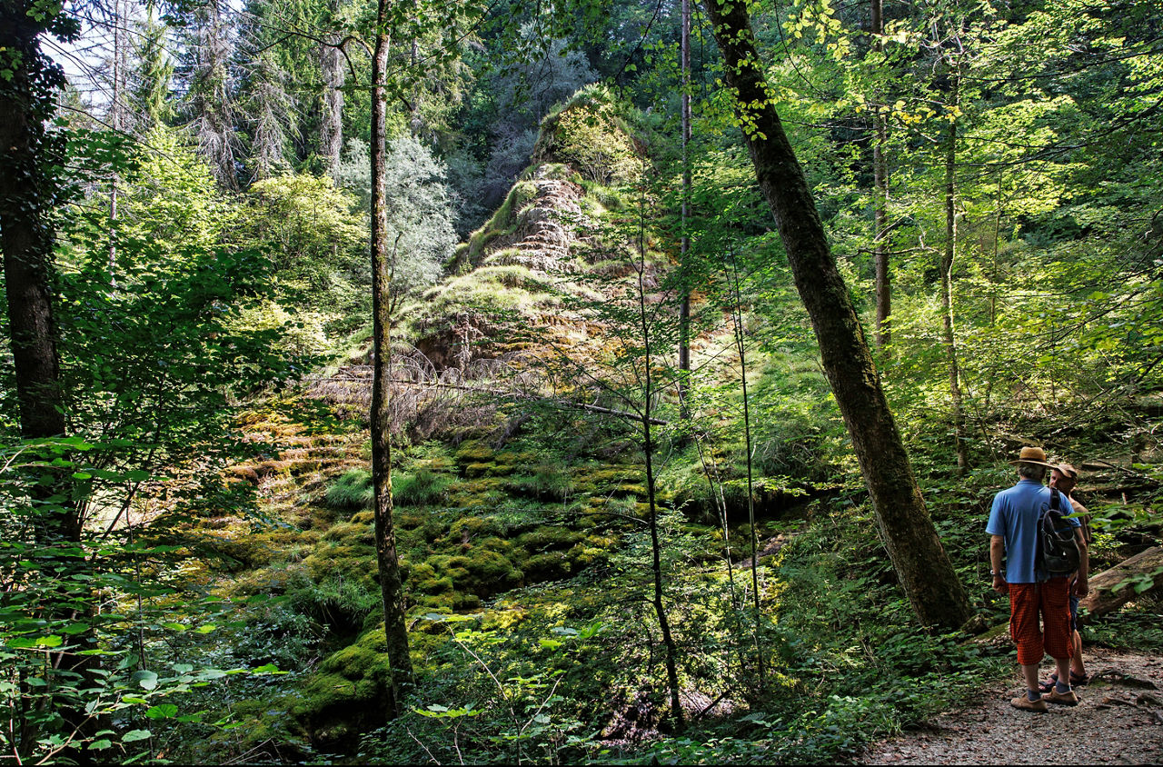 Zwei Personen stehen im Wald und schauen auf Moos überwachsene Treppe.
