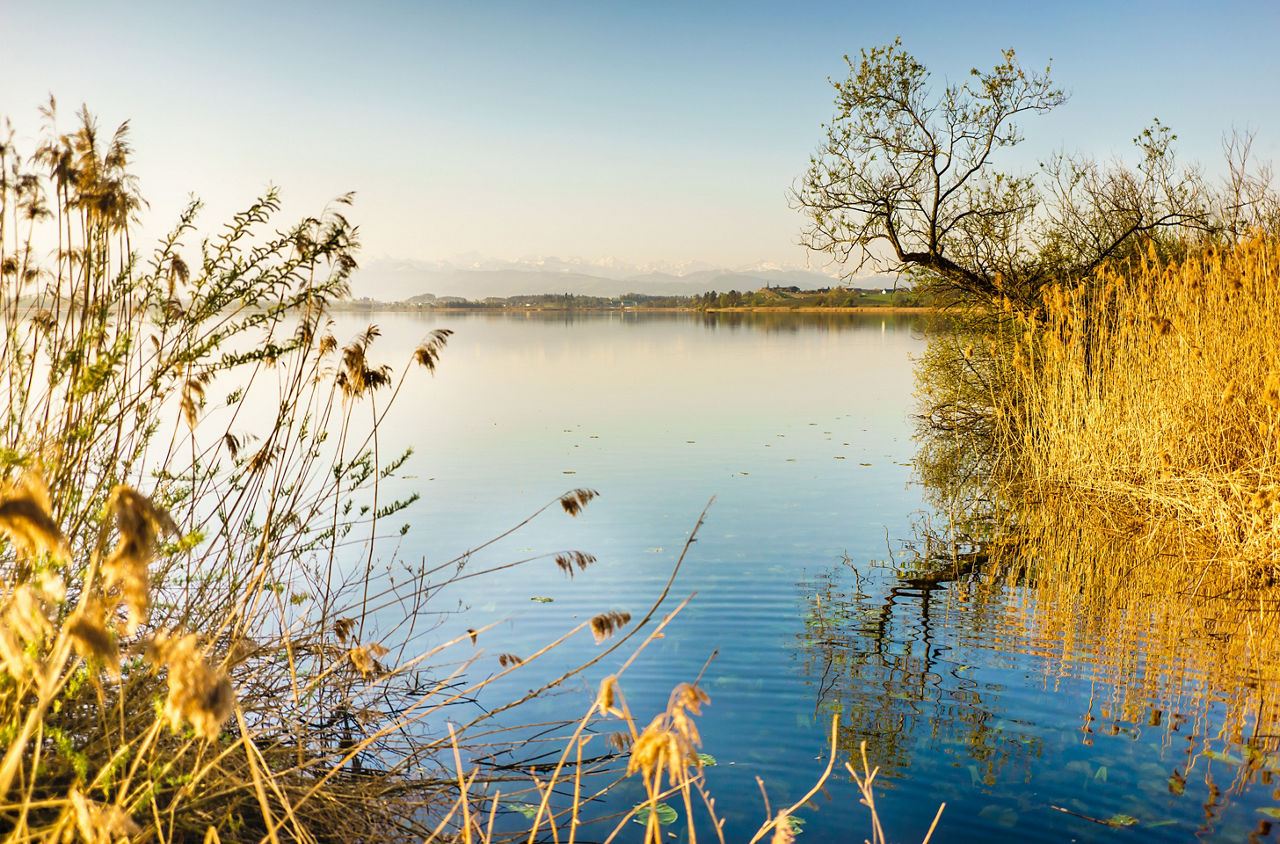 Pfäffikersee auf der Wanderung von Rikon nach Pfäffikon ZH